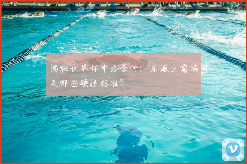 揭秘世界杯申办条件:东道主需满足哪些硬性标准?
