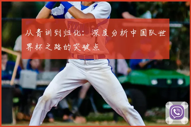 从青训到归化：深度分析中国队世界杯之路的突破点