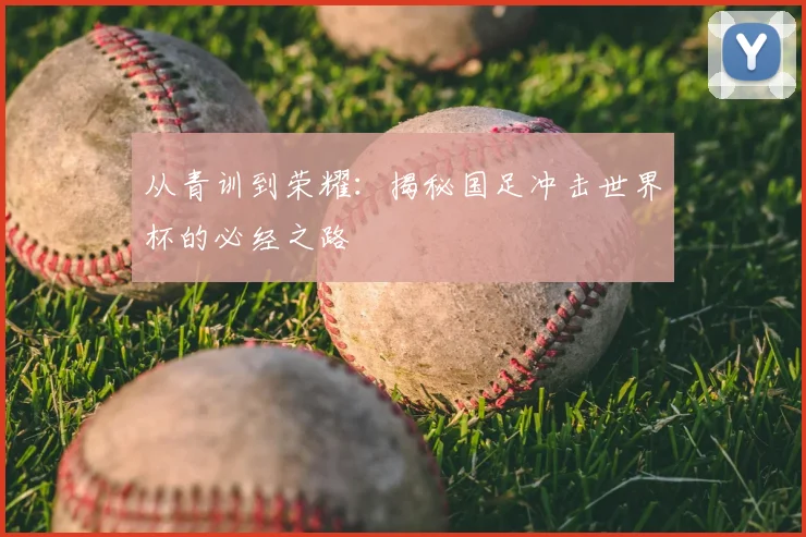 从青训到荣耀：揭秘国足冲击世界杯的必经之路