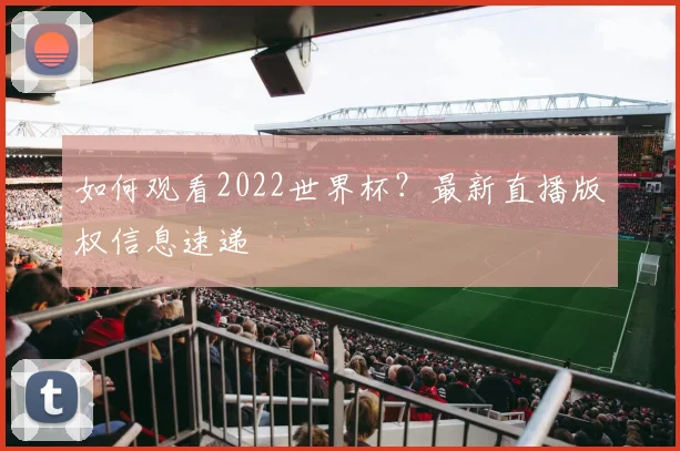 如何观看2022世界杯?最新直播版权信息速递
