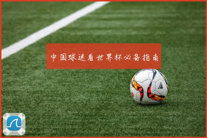 中国球迷看世界杯必备指南