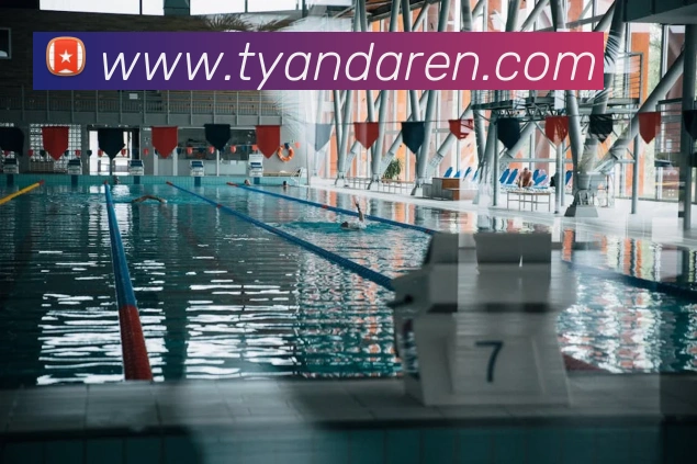 多媒体互动体验